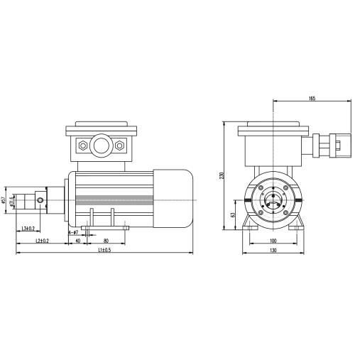 Micro Gear Pump do eksplozji pompy wybuchowej do miejsc wybuchowych